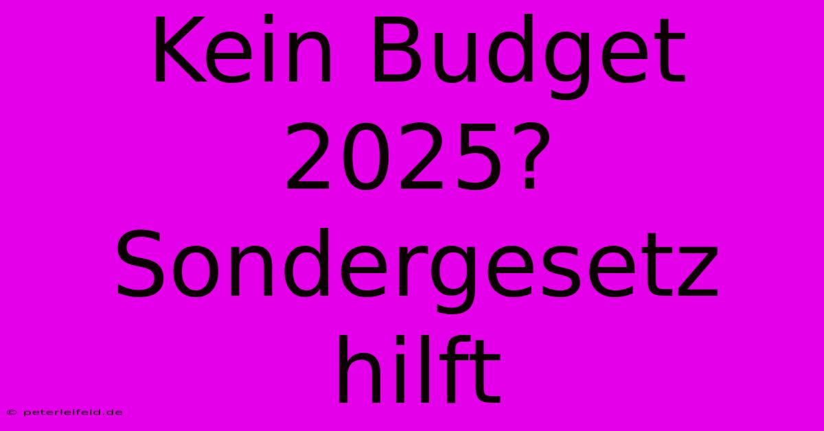 Kein Budget 2025? Sondergesetz Hilft