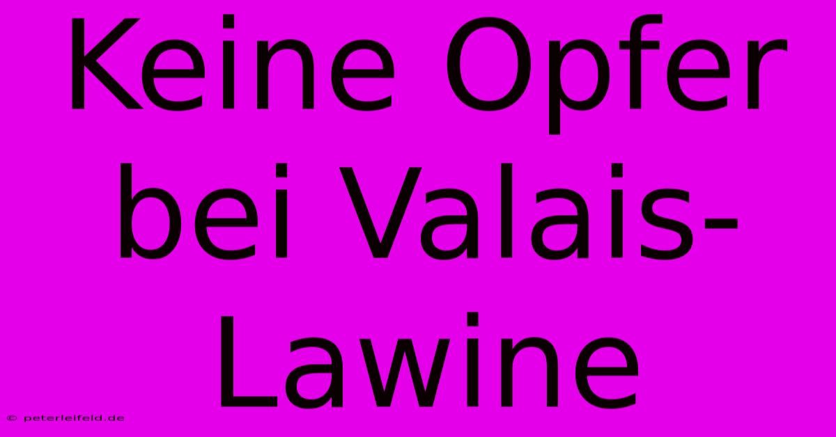 Keine Opfer Bei Valais-Lawine