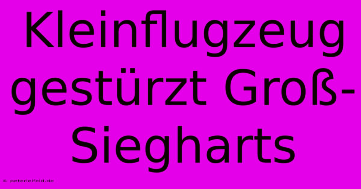 Kleinflugzeug Gestürzt Groß-Siegharts