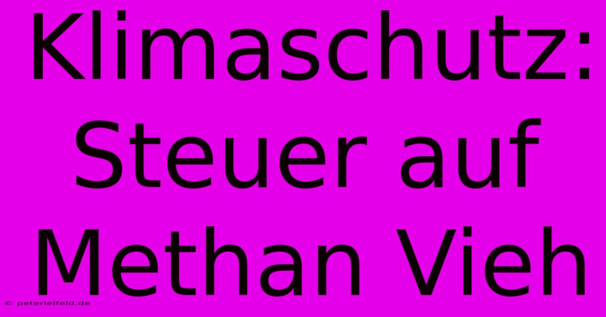 Klimaschutz: Steuer Auf Methan Vieh