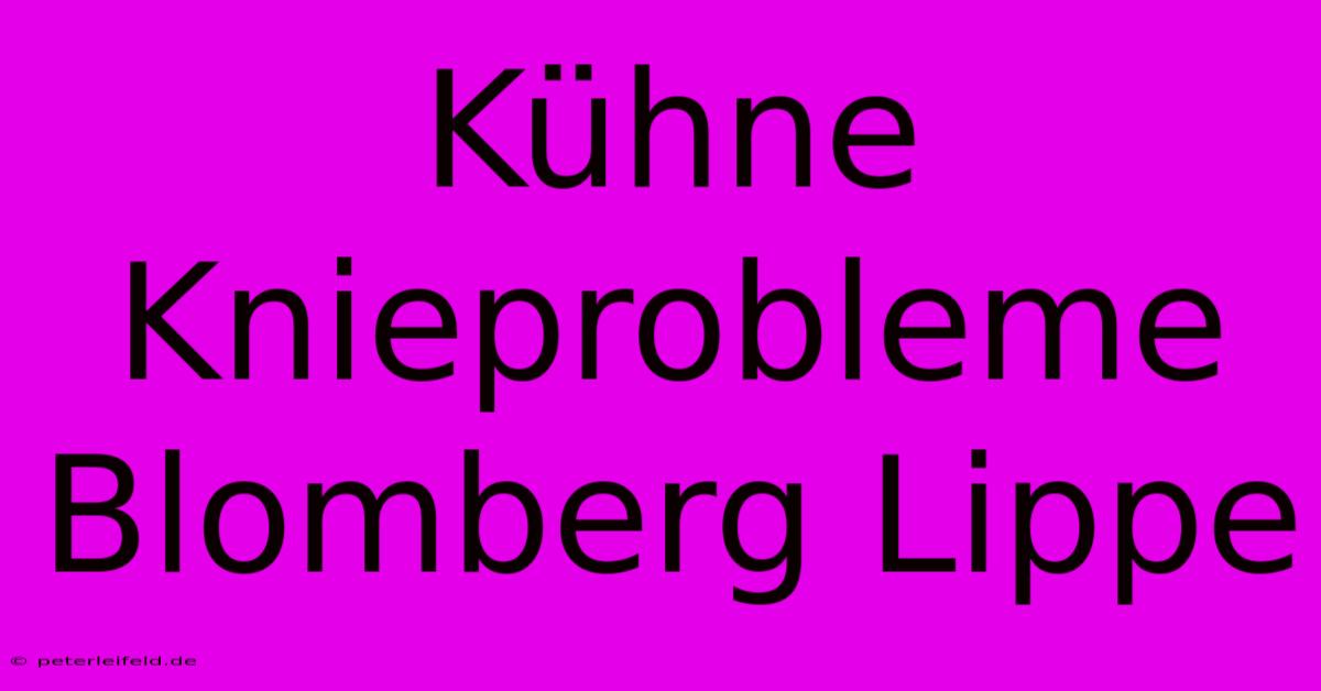 Kühne Knieprobleme Blomberg Lippe