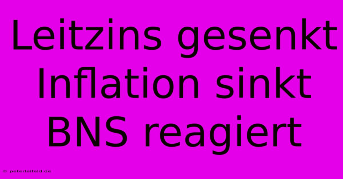 Leitzins Gesenkt Inflation Sinkt BNS Reagiert