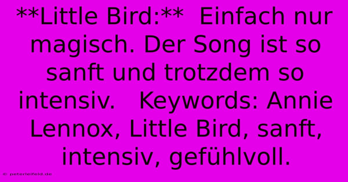 **Little Bird:**  Einfach Nur Magisch. Der Song Ist So Sanft Und Trotzdem So Intensiv.   Keywords: Annie Lennox, Little Bird, Sanft, Intensiv, Gefühlvoll.