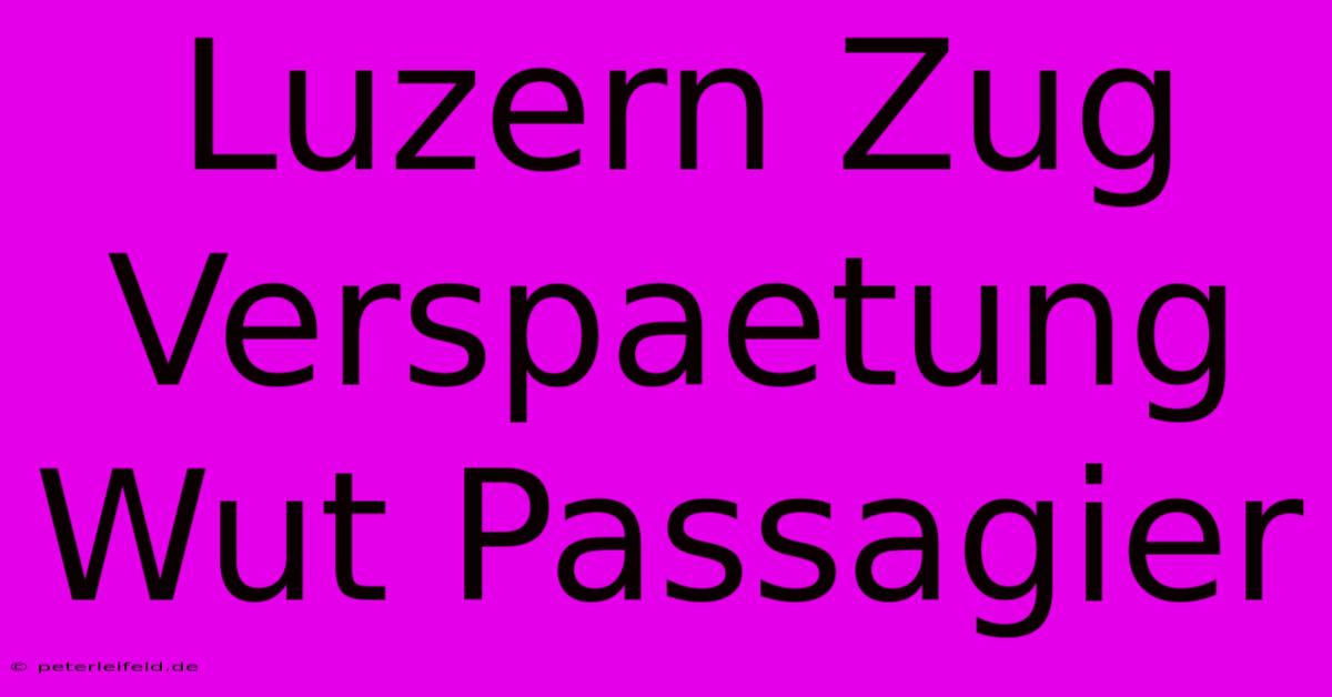 Luzern Zug Verspaetung Wut Passagier