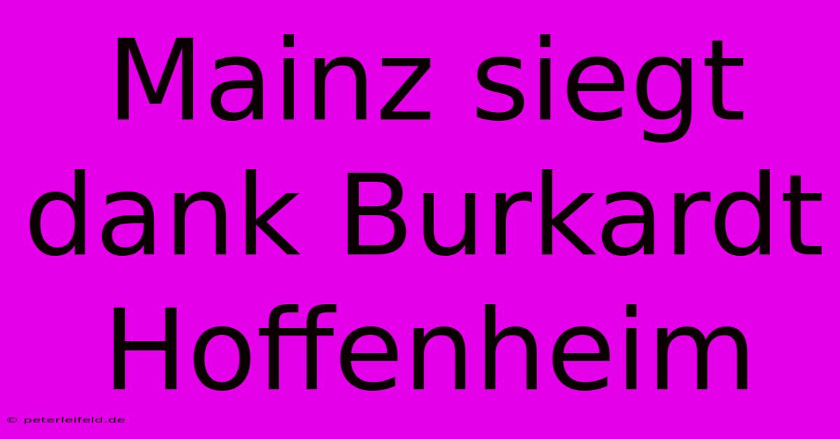 Mainz Siegt Dank Burkardt Hoffenheim