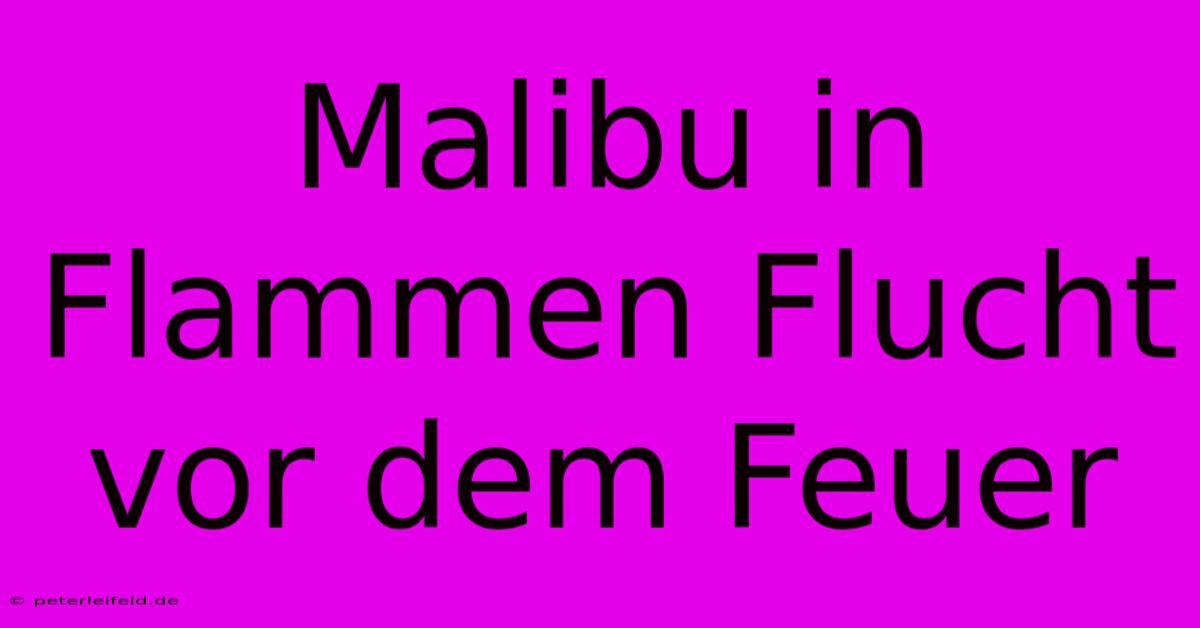 Malibu In Flammen Flucht Vor Dem Feuer