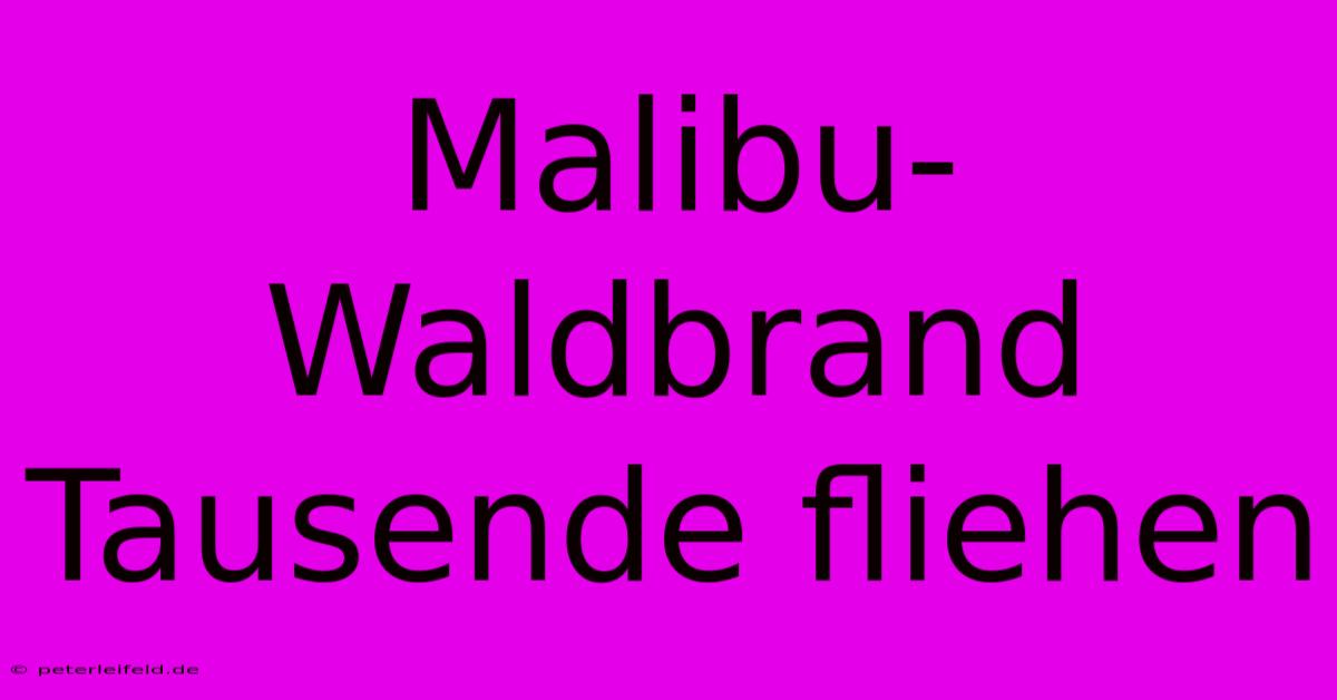 Malibu-Waldbrand Tausende Fliehen