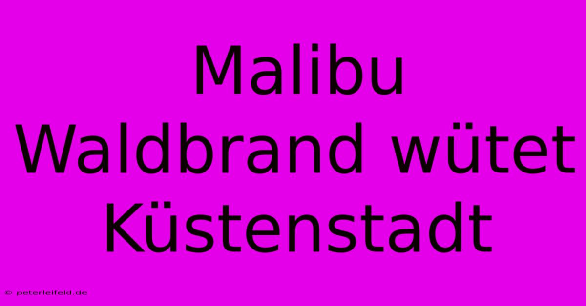 Malibu Waldbrand Wütet Küstenstadt