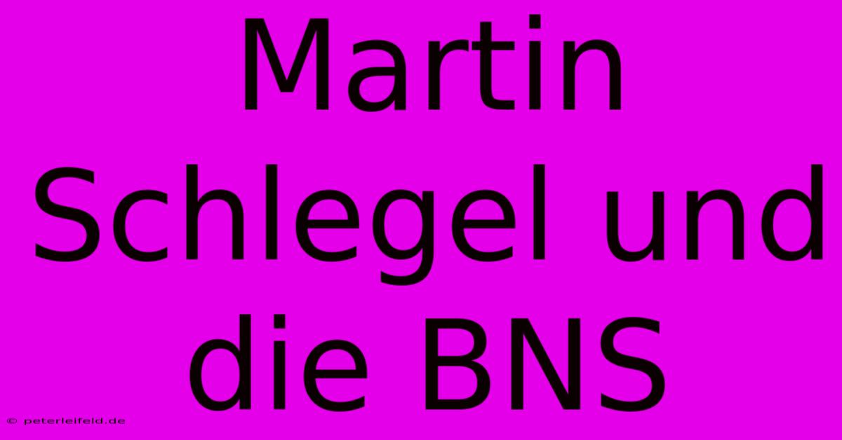 Martin Schlegel Und Die BNS