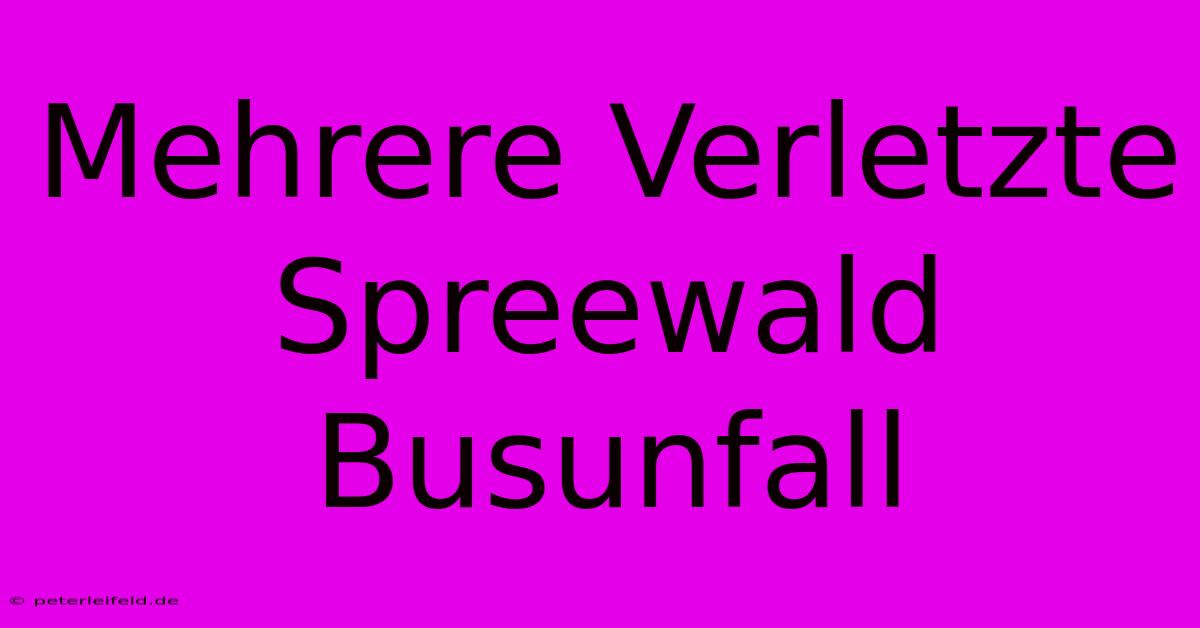 Mehrere Verletzte Spreewald Busunfall