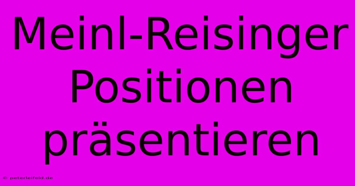 Meinl-Reisinger Positionen Präsentieren