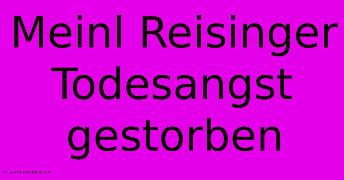 Meinl Reisinger Todesangst Gestorben