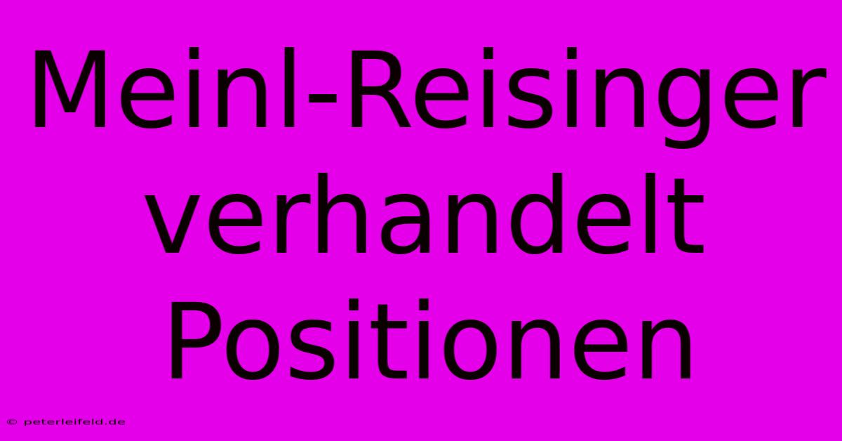 Meinl-Reisinger Verhandelt Positionen