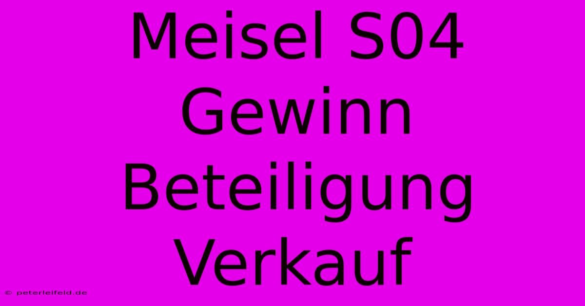 Meisel S04 Gewinn Beteiligung Verkauf