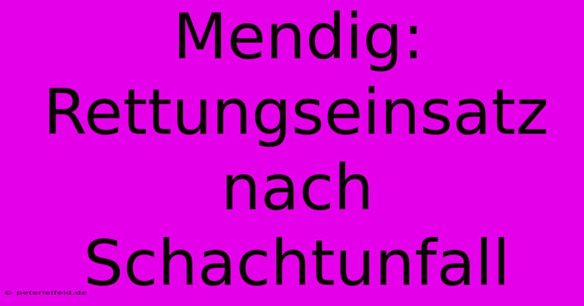 Mendig: Rettungseinsatz Nach Schachtunfall