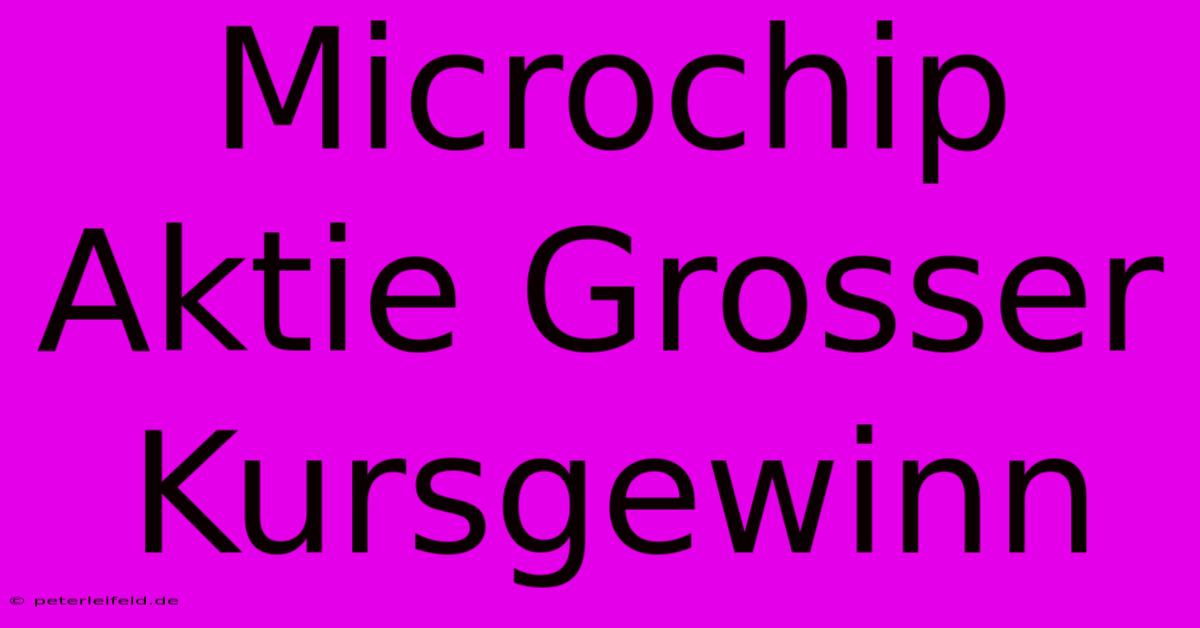 Microchip Aktie Grosser Kursgewinn