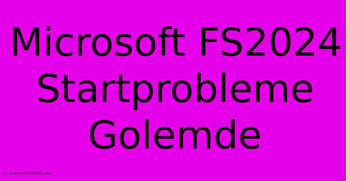 Microsoft FS2024 Startprobleme Golemde