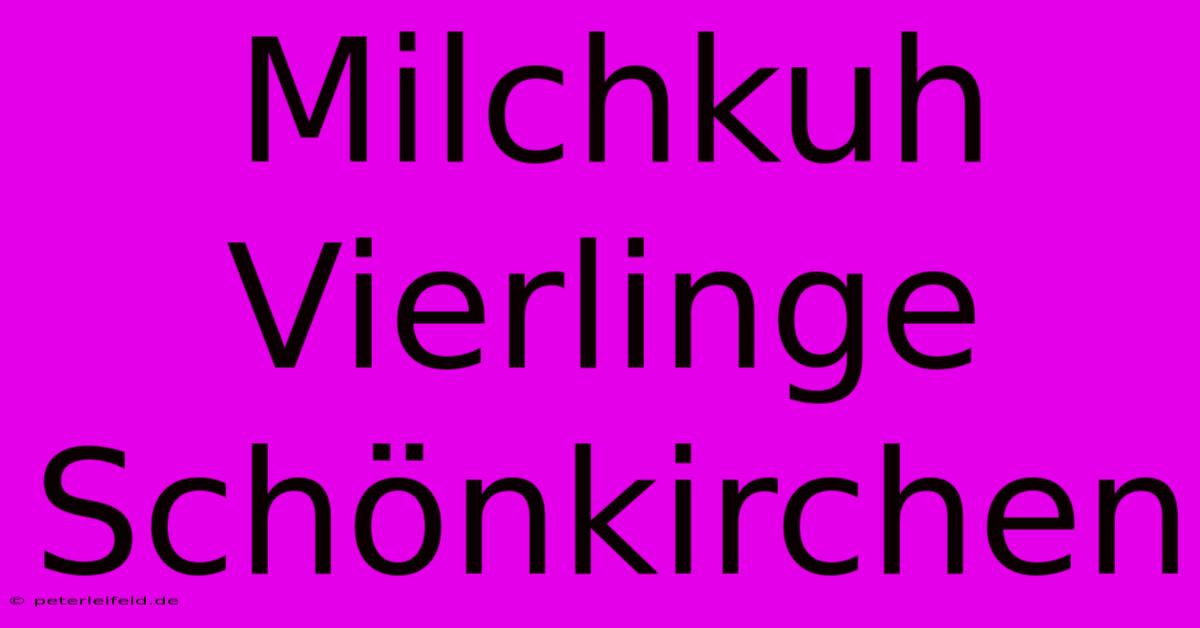 Milchkuh Vierlinge Schönkirchen