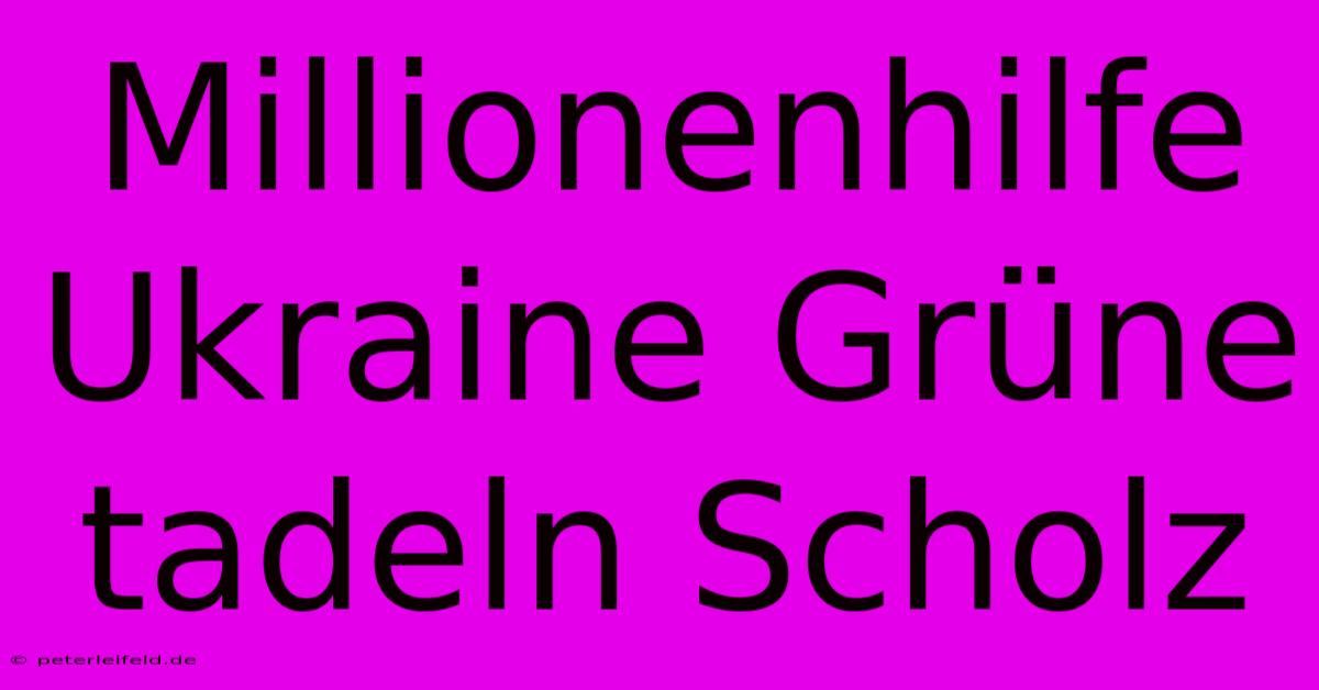 Millionenhilfe Ukraine Grüne Tadeln Scholz