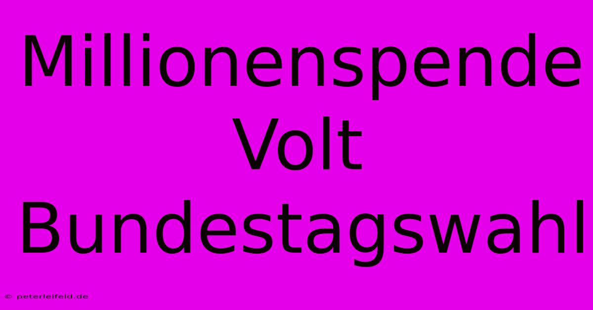 Millionenspende Volt Bundestagswahl