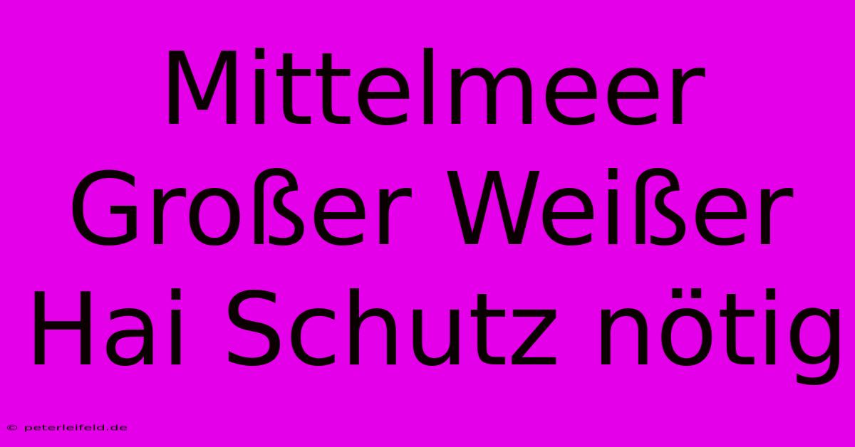 Mittelmeer Großer Weißer Hai Schutz Nötig