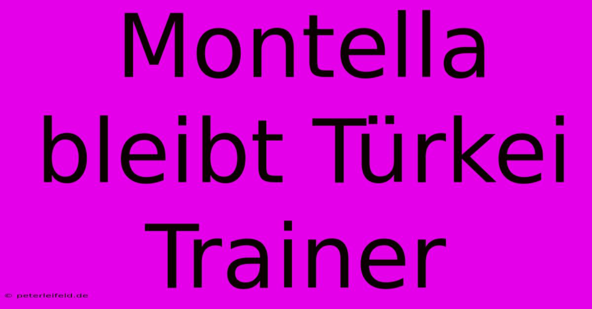 Montella Bleibt Türkei Trainer