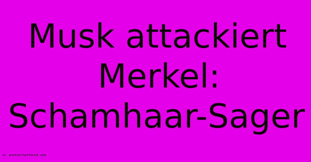 Musk Attackiert Merkel: Schamhaar-Sager