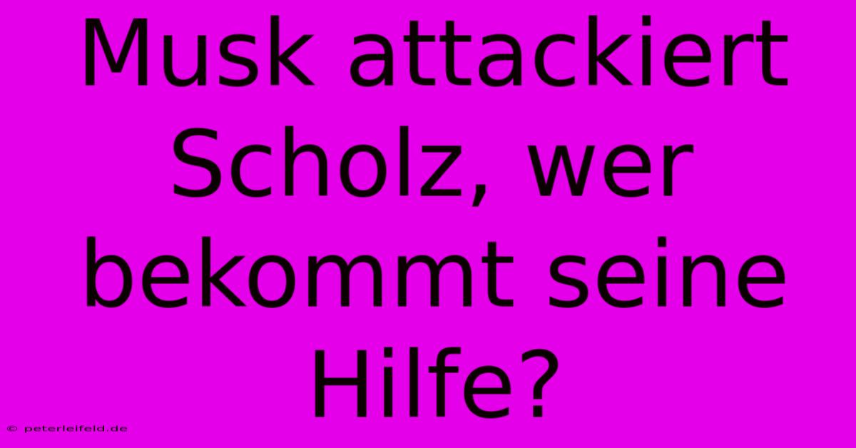 Musk Attackiert Scholz, Wer Bekommt Seine Hilfe?