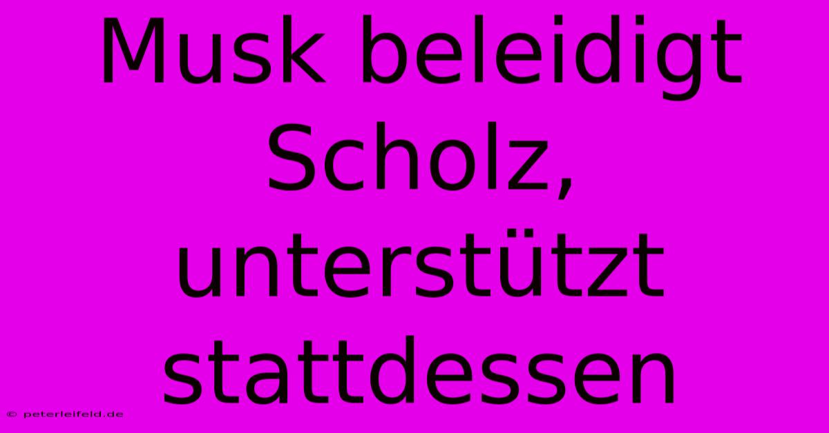 Musk Beleidigt Scholz, Unterstützt Stattdessen