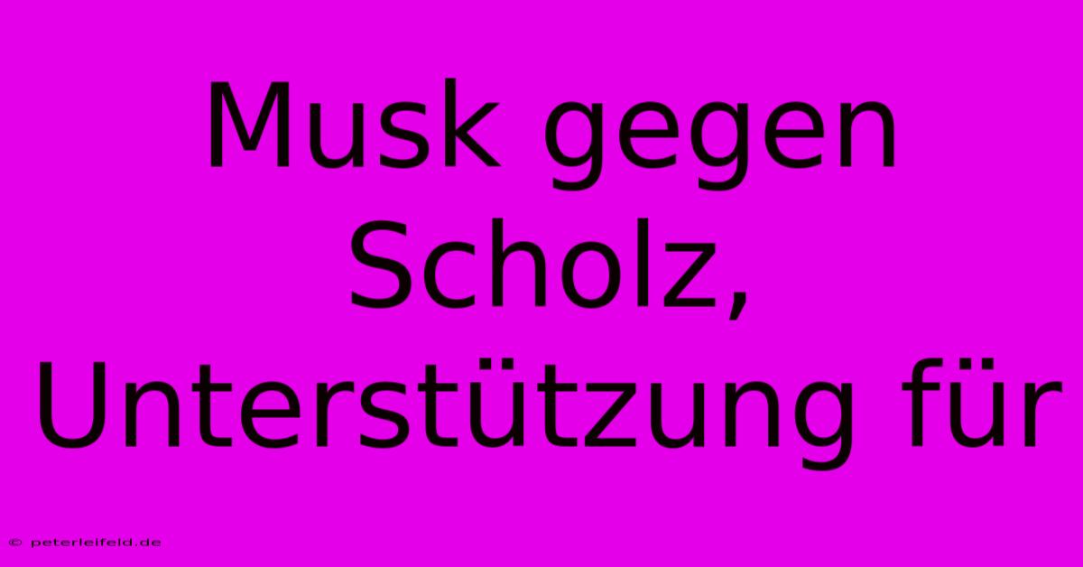 Musk Gegen Scholz, Unterstützung Für