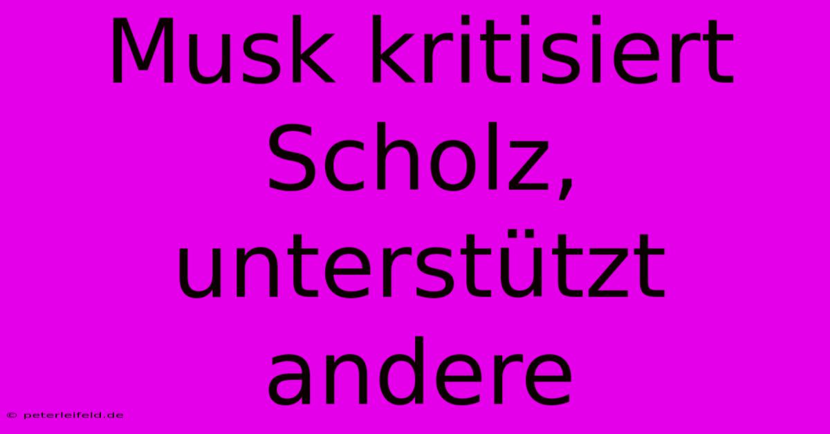 Musk Kritisiert Scholz, Unterstützt Andere