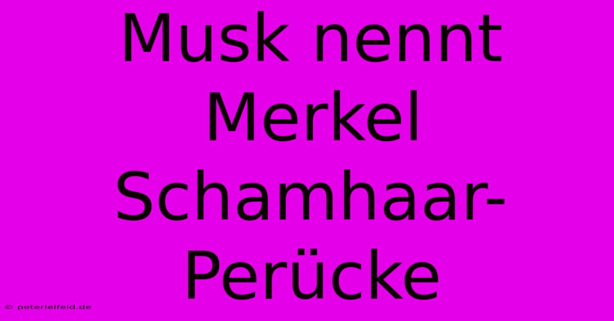 Musk Nennt Merkel Schamhaar-Perücke