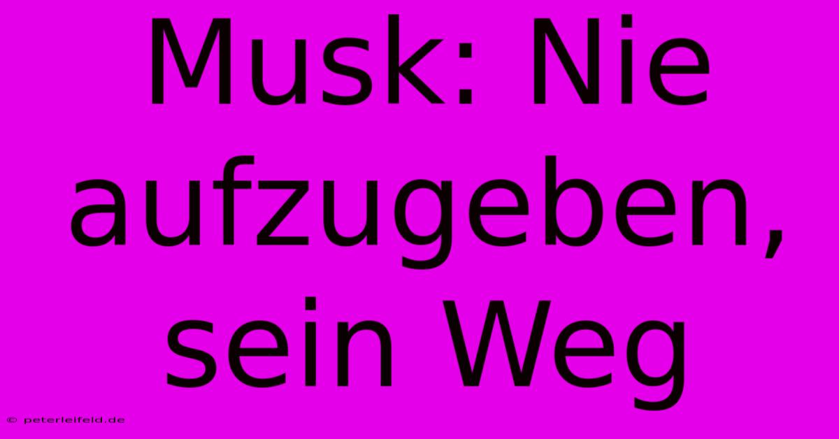 Musk: Nie Aufzugeben, Sein Weg