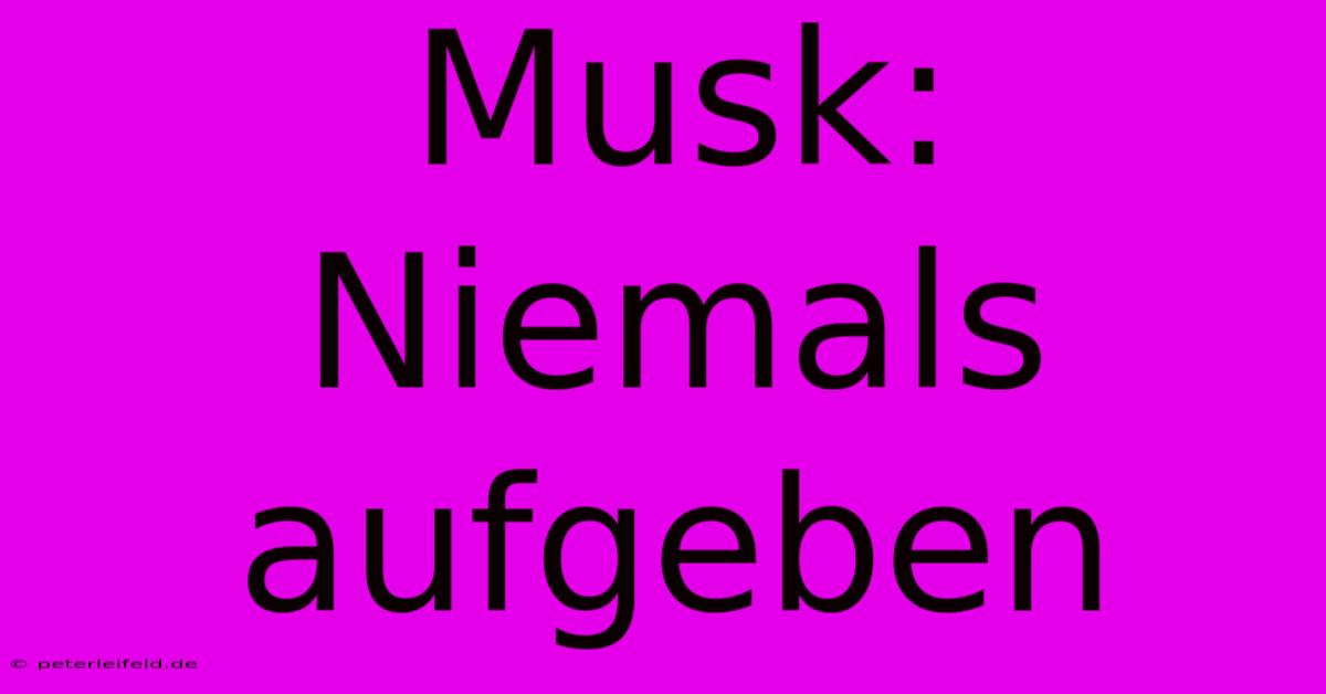 Musk: Niemals Aufgeben