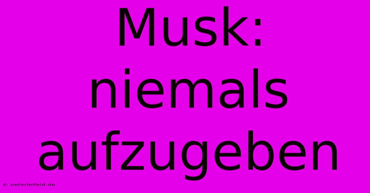 Musk: Niemals Aufzugeben