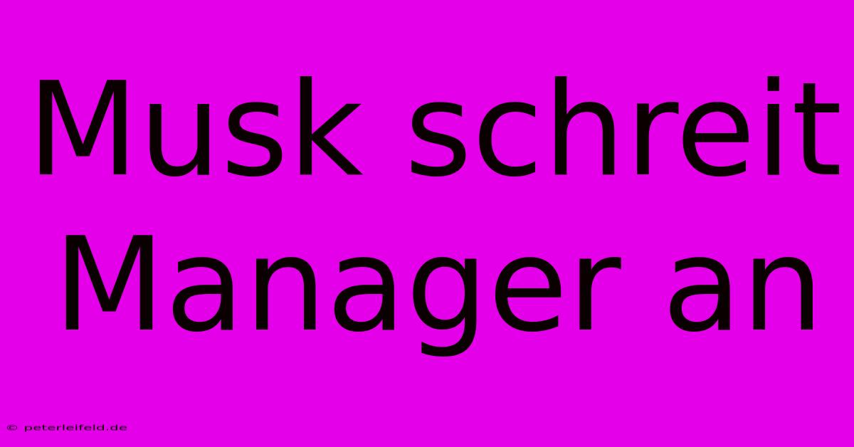 Musk Schreit Manager An