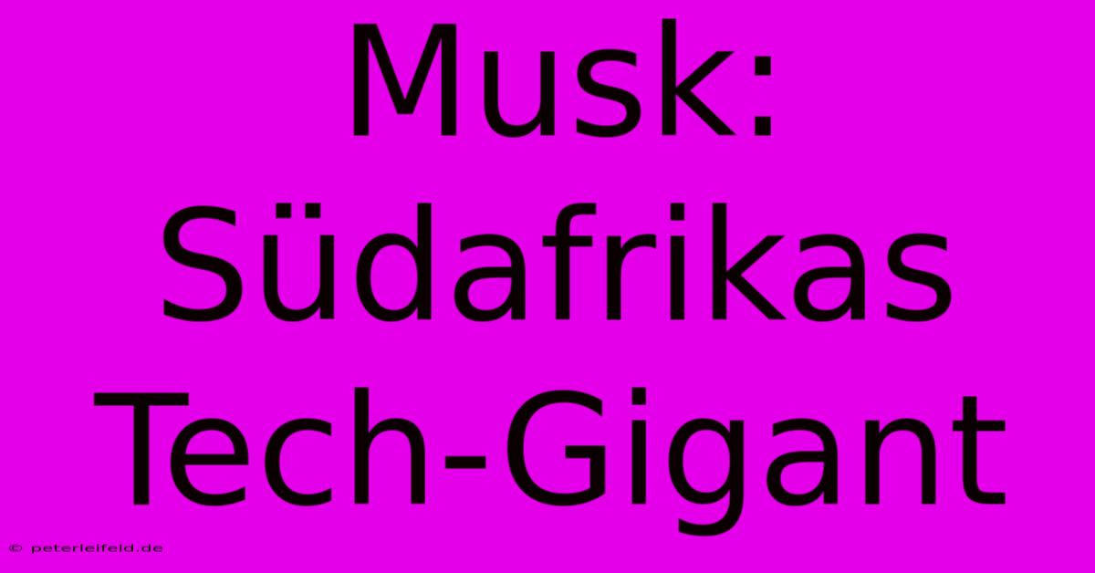 Musk: Südafrikas Tech-Gigant