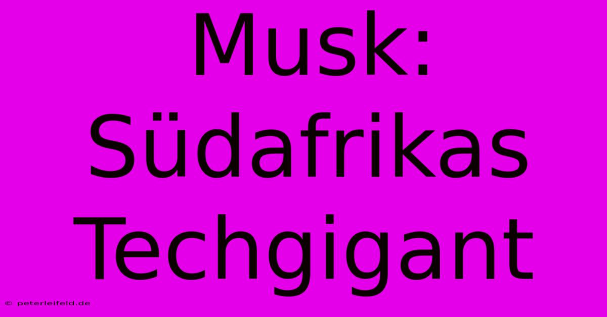 Musk: Südafrikas Techgigant