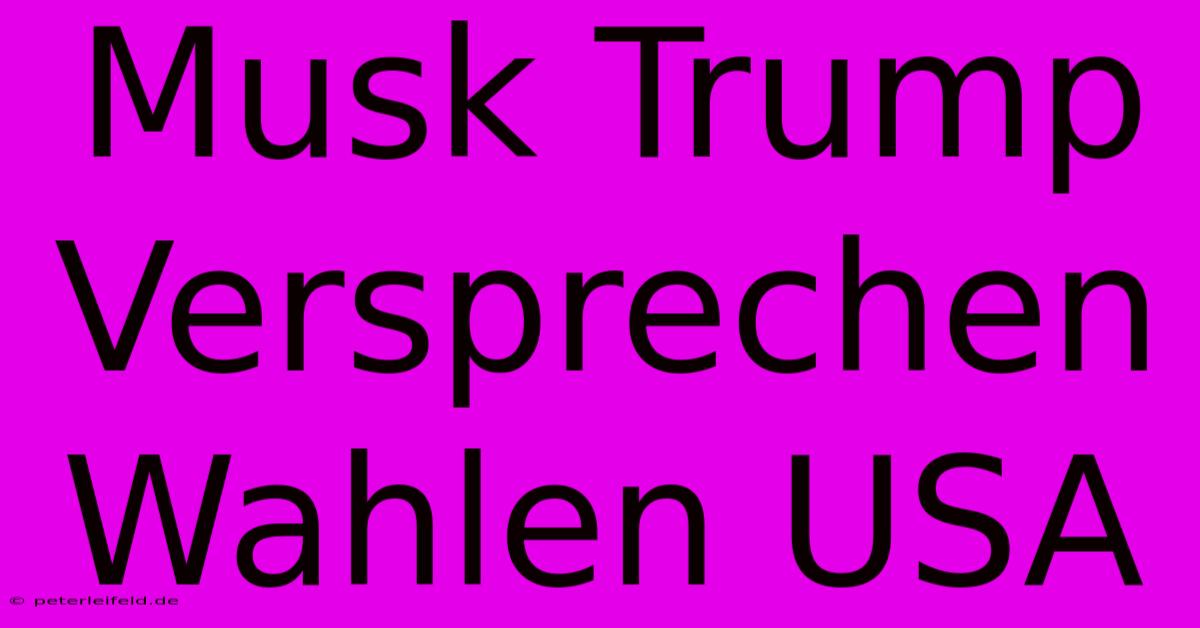 Musk Trump Versprechen Wahlen USA