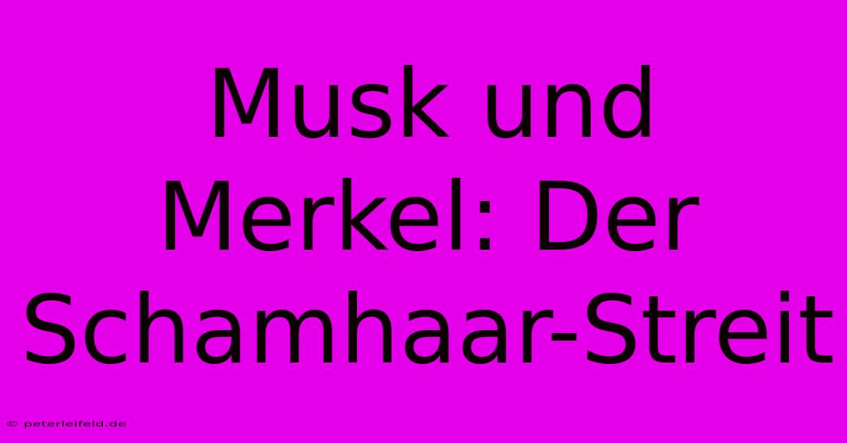 Musk Und Merkel: Der Schamhaar-Streit