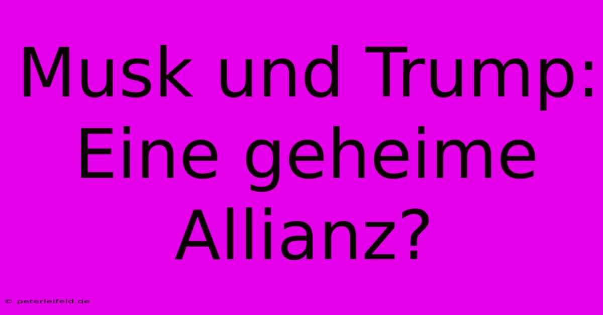 Musk Und Trump: Eine Geheime Allianz?