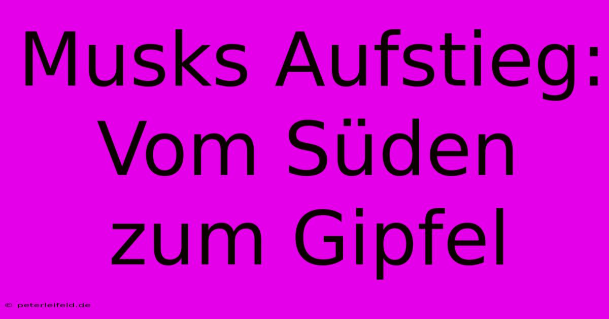 Musks Aufstieg: Vom Süden Zum Gipfel