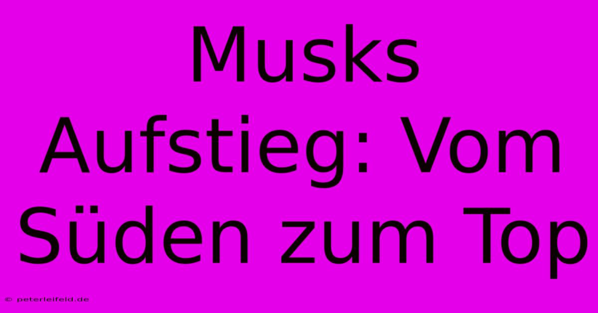 Musks Aufstieg: Vom Süden Zum Top