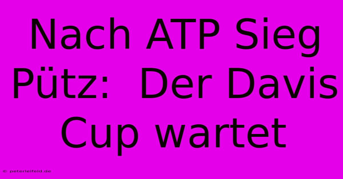 Nach ATP Sieg Pütz:  Der Davis Cup Wartet