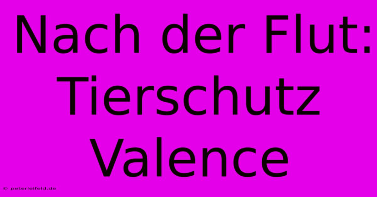 Nach Der Flut: Tierschutz Valence