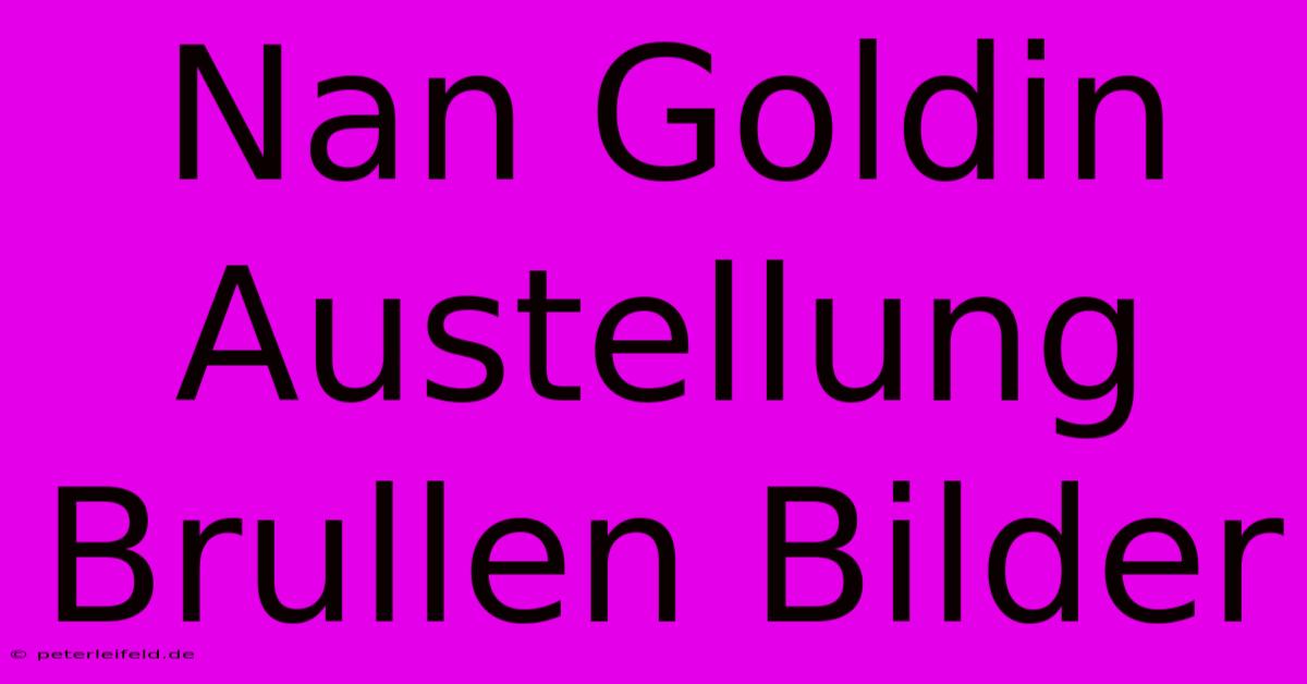 Nan Goldin Austellung Brullen Bilder