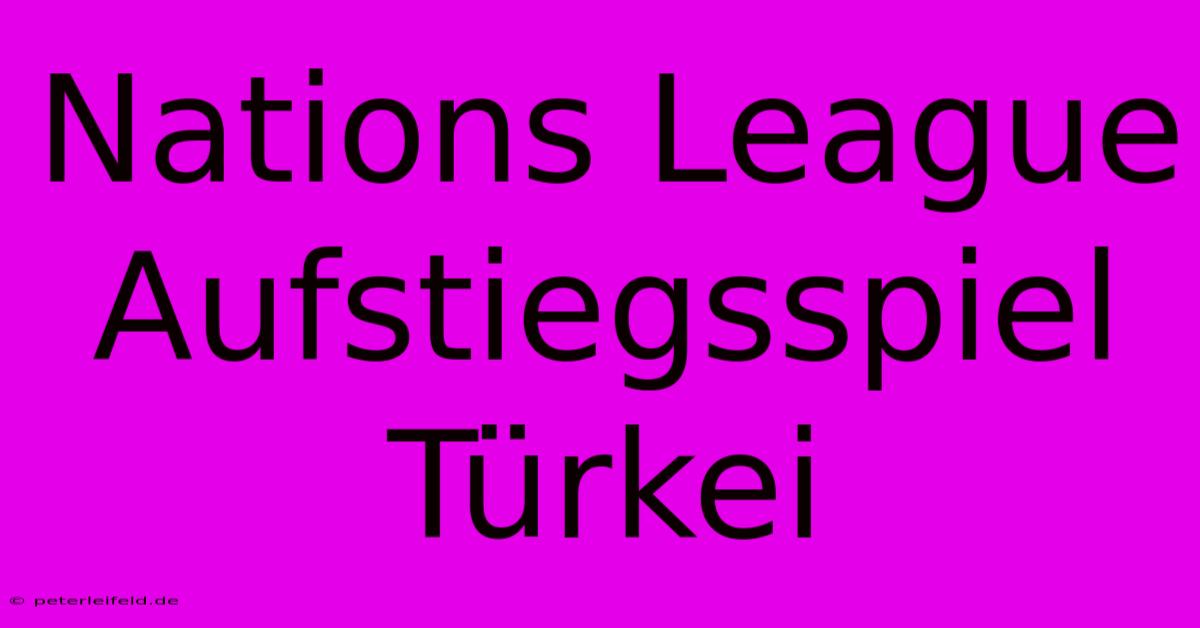 Nations League Aufstiegsspiel Türkei