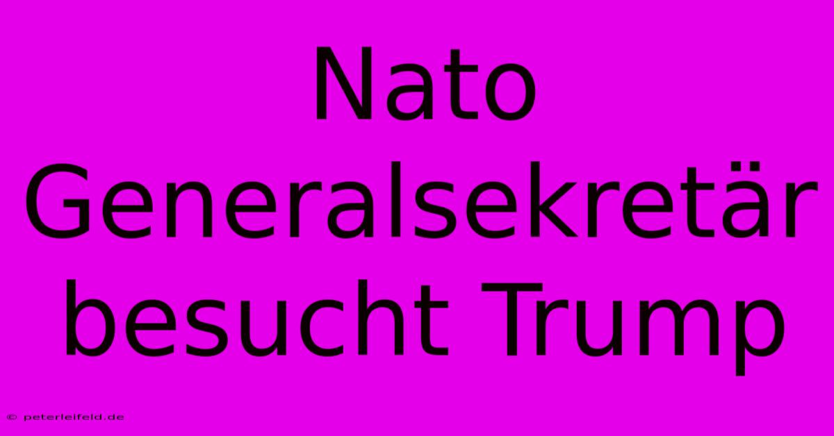 Nato Generalsekretär Besucht Trump