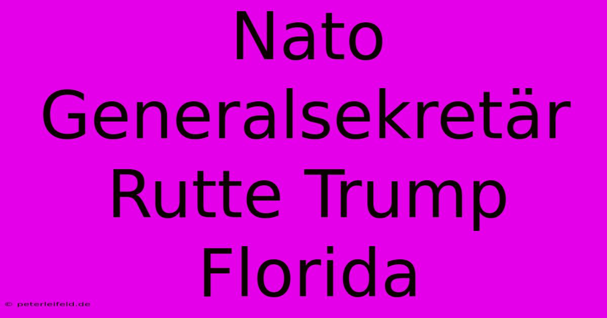 Nato Generalsekretär Rutte Trump Florida