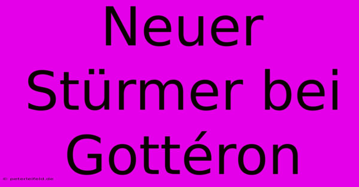 Neuer Stürmer Bei Gottéron